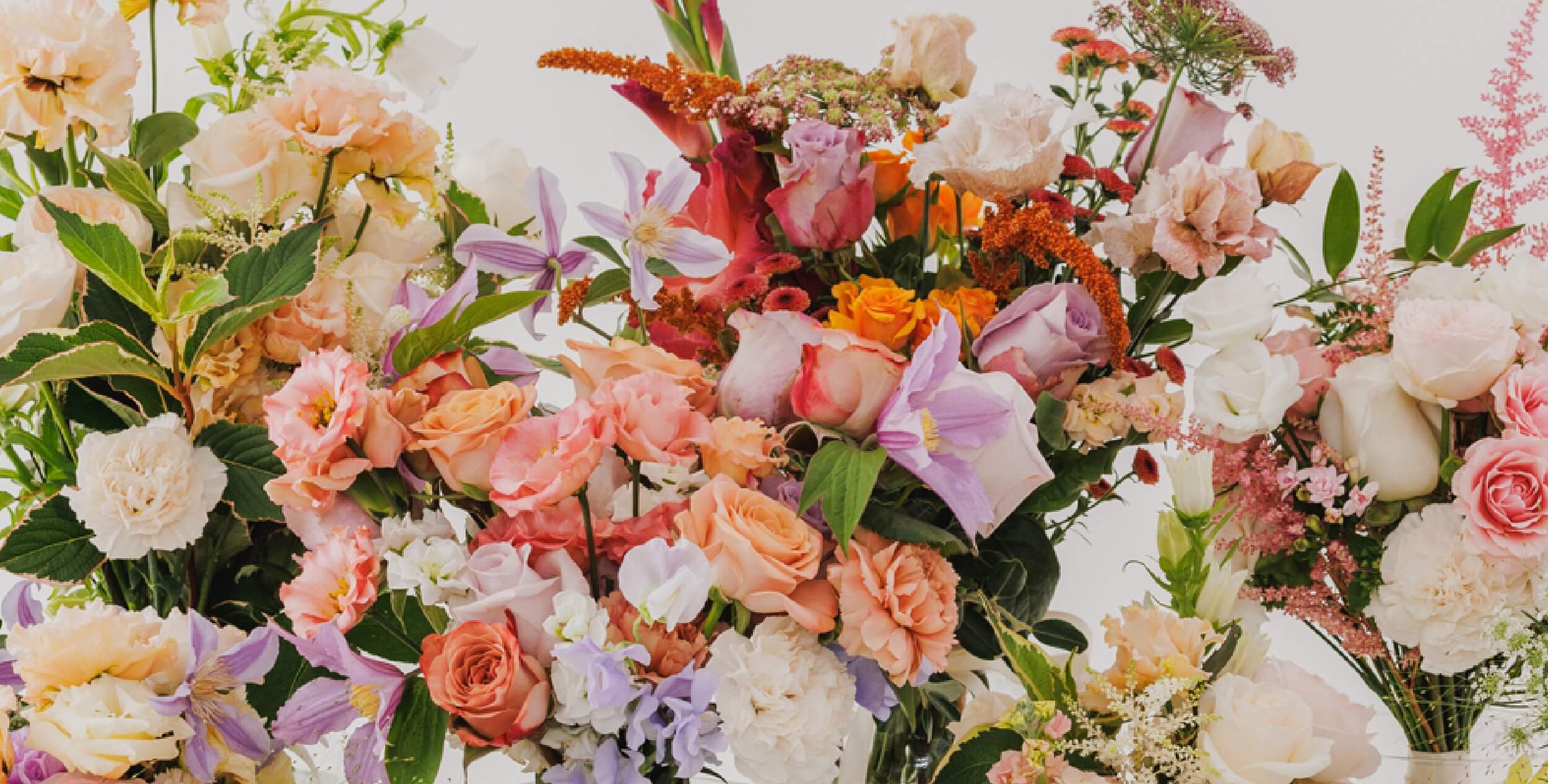 Ready to Wear by In Bloom