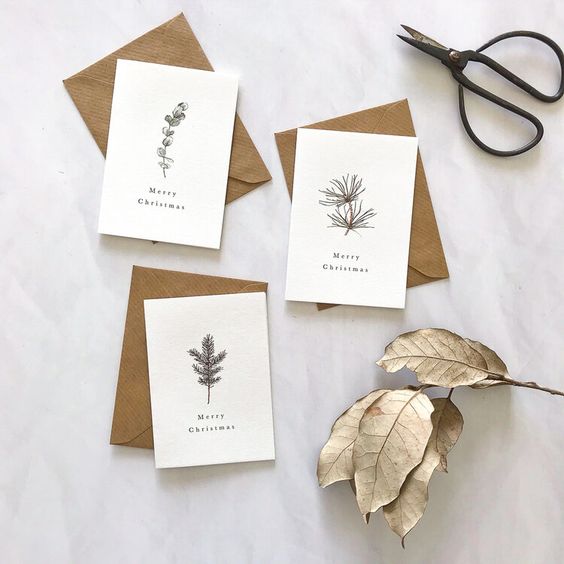 Annie Brougham Illustration