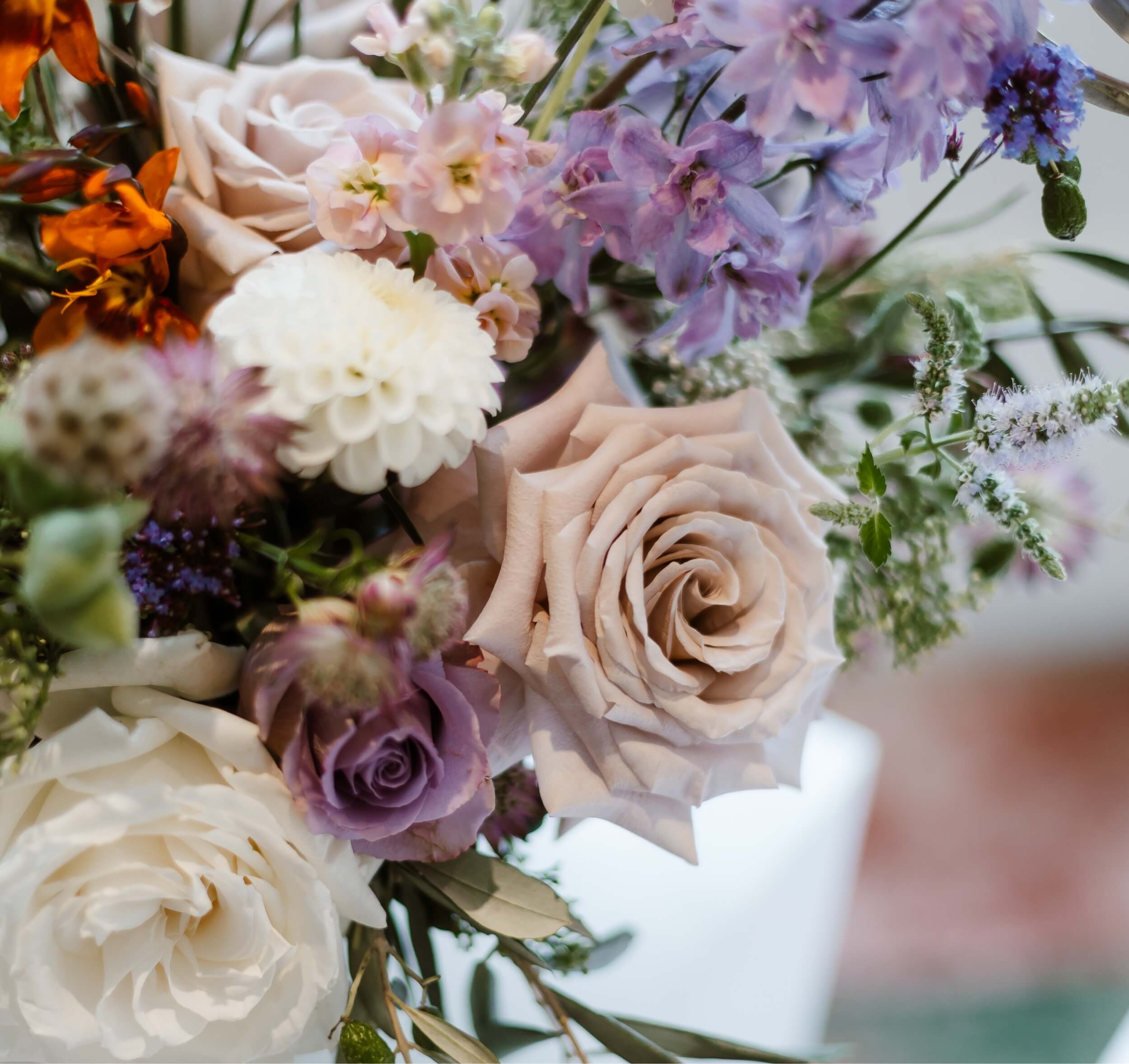 Close-up of a bouquet of flowers with a blurred background