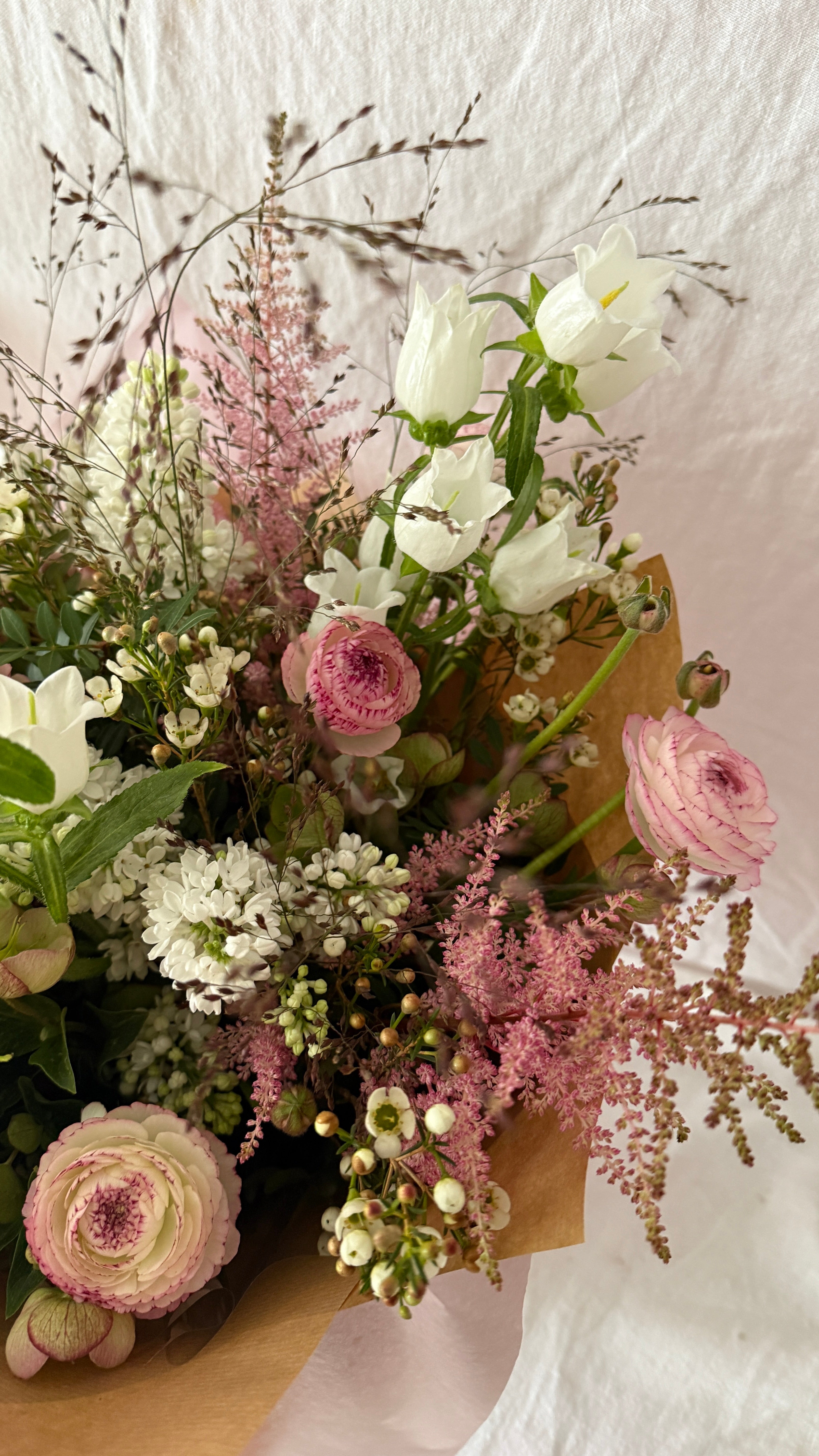 Doris - New for Spring 2026!