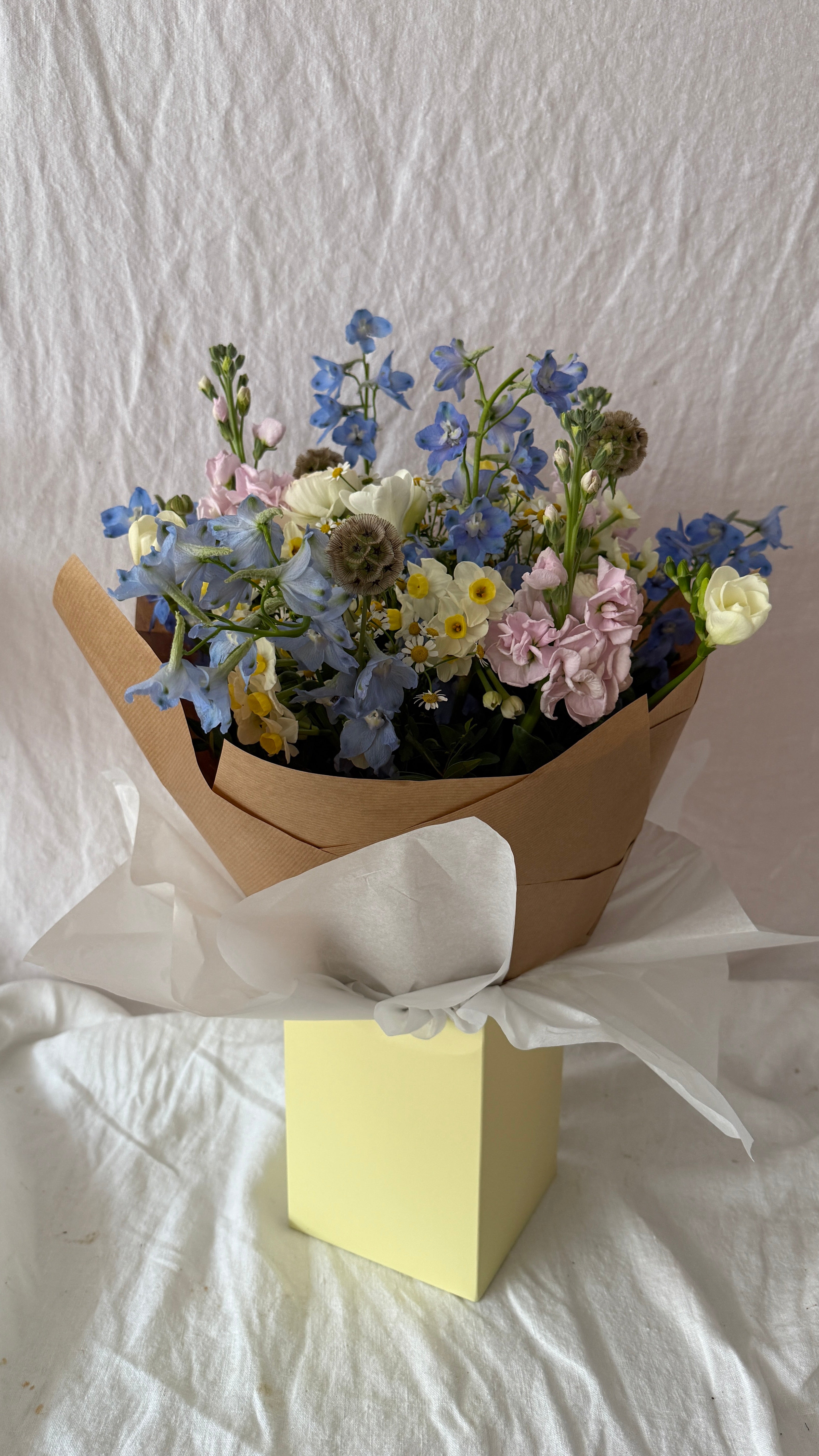 Annie - New for Spring 2026!