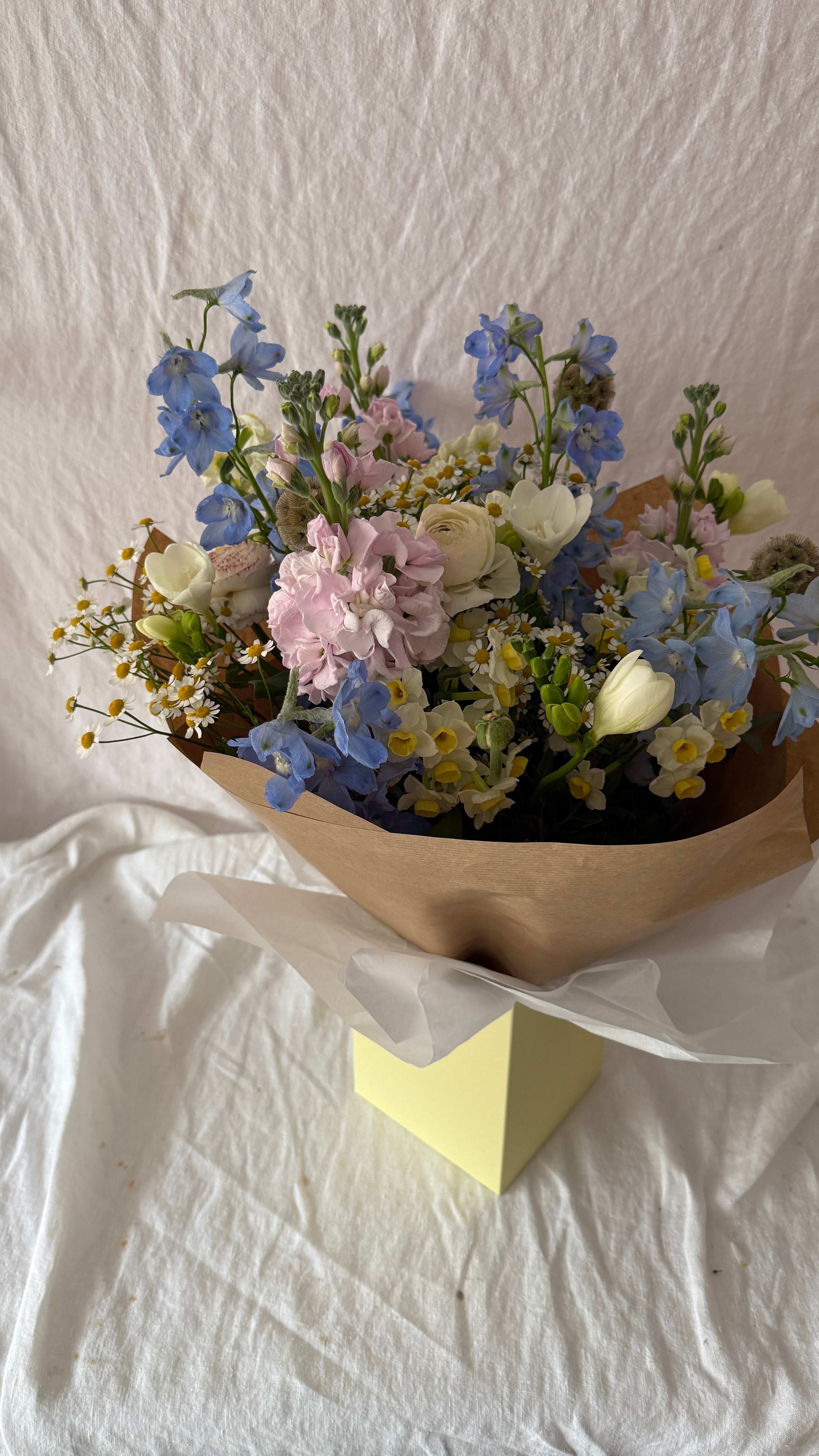 Annie - New for Spring 2026!