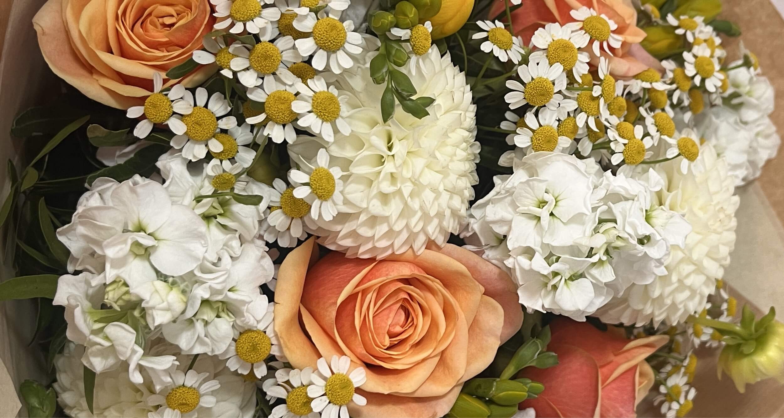 Close up of peach and white fresh flowers
