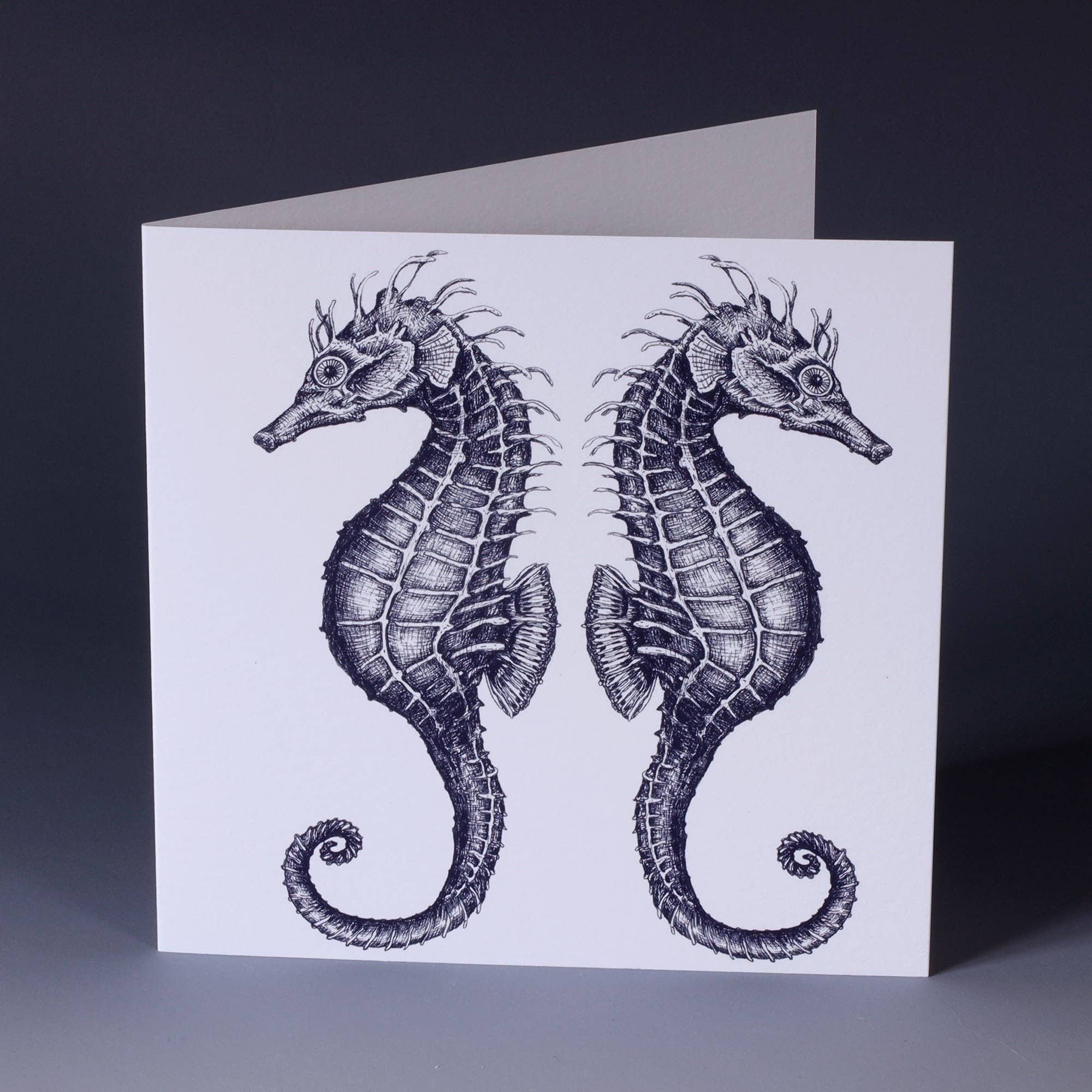 Seahorse Greetings Card