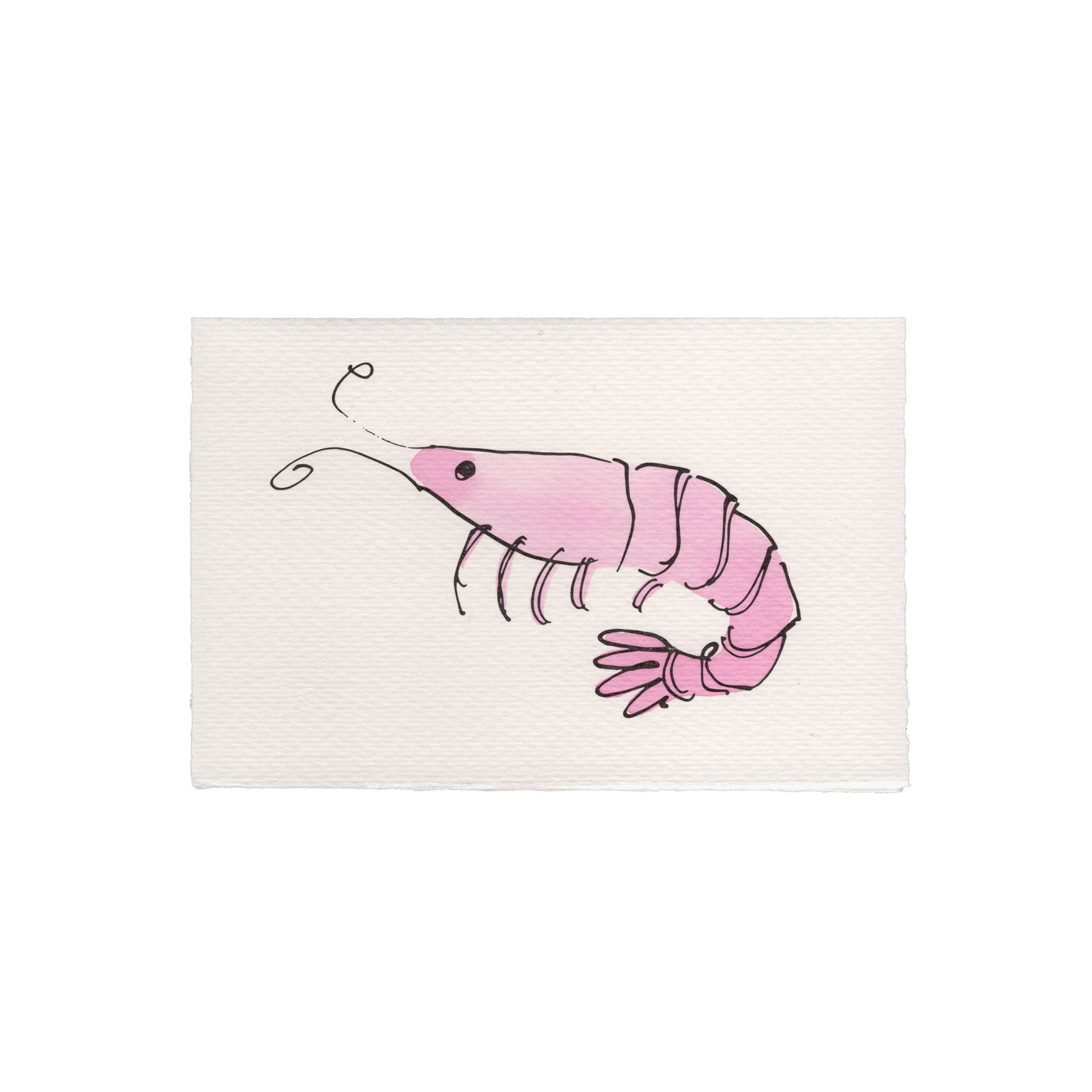 Shrimp Valentine Card