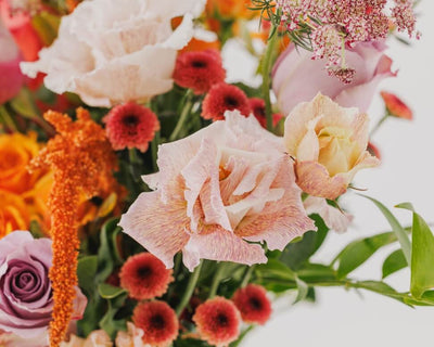 Colourful bouquet of flowers including roses and other varieties on a white background