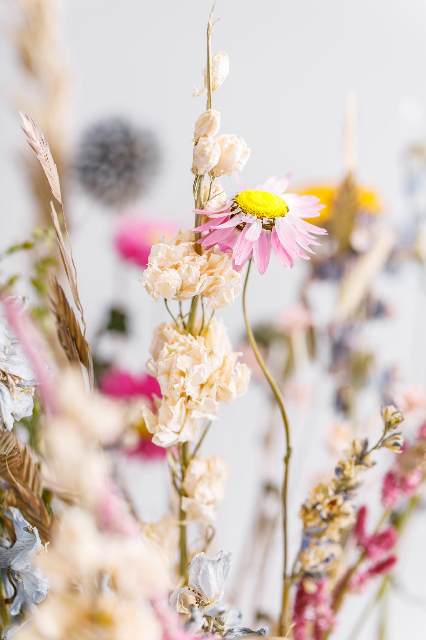Mixed Colour Everlasting Posy