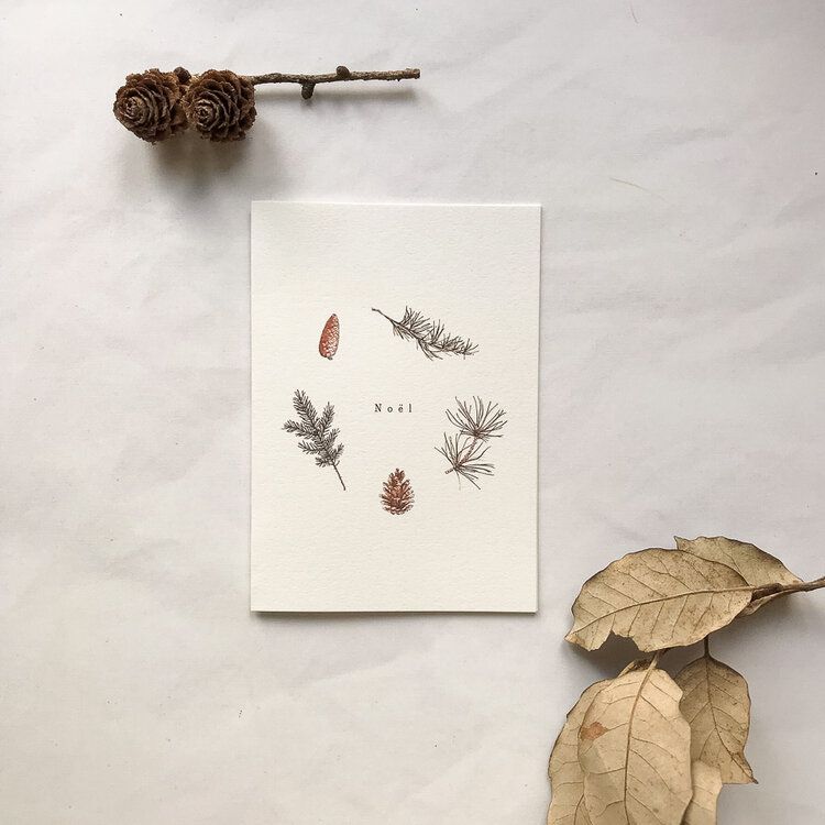 Annie Brougham - Noel