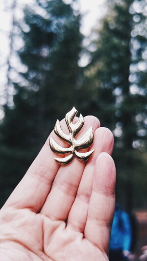 Rhaphidophora tetrasperma - Monstera "Ginny"- Hemleva Pin