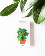 Hemleva - Basil